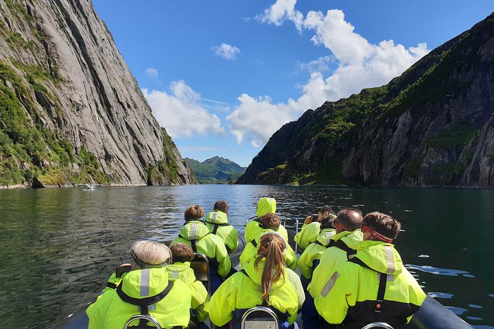 RIB-Boot-Tour zum Trollfjord und Seeadler in Svolvær, Norwegen, Foto 11 | wizardtrip