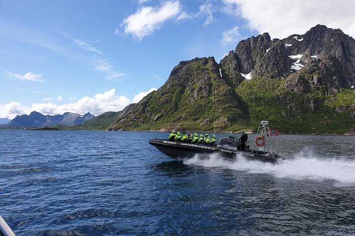 RIB-Boot-Tour zum Trollfjord und Seeadler in Svolvær, Norwegen, Foto 12 | wizardtrip