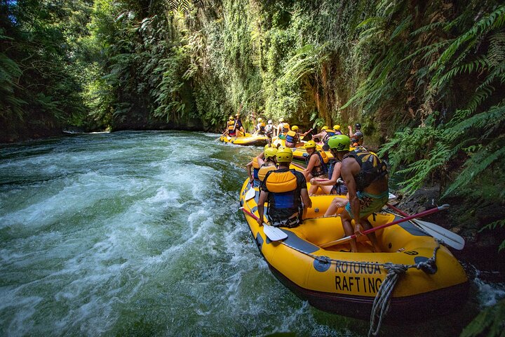 Rotorua Rafting: Kaituna River White Water Rafting & Free Sauna | wizardtrip