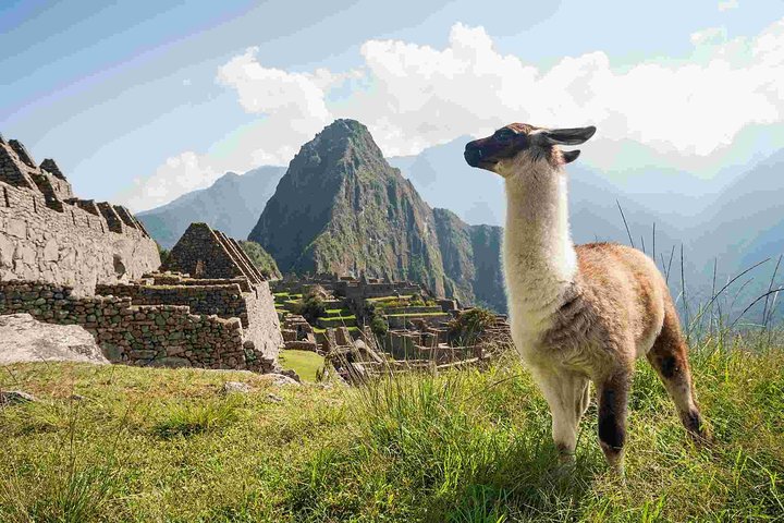 Full-day guided tour to the ancient Inca citadel of Machu Picchu from Cusco, Peru, photo 9 | wizardtrip