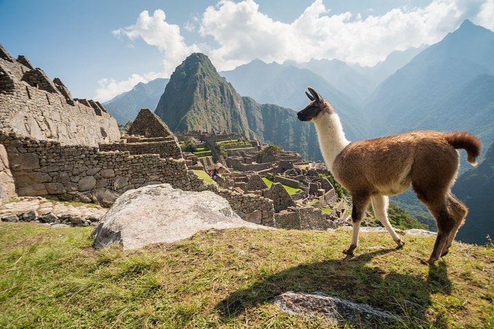 Full-day guided tour to the ancient Inca citadel of Machu Picchu from Cusco, Peru, photo 12 | wizardtrip