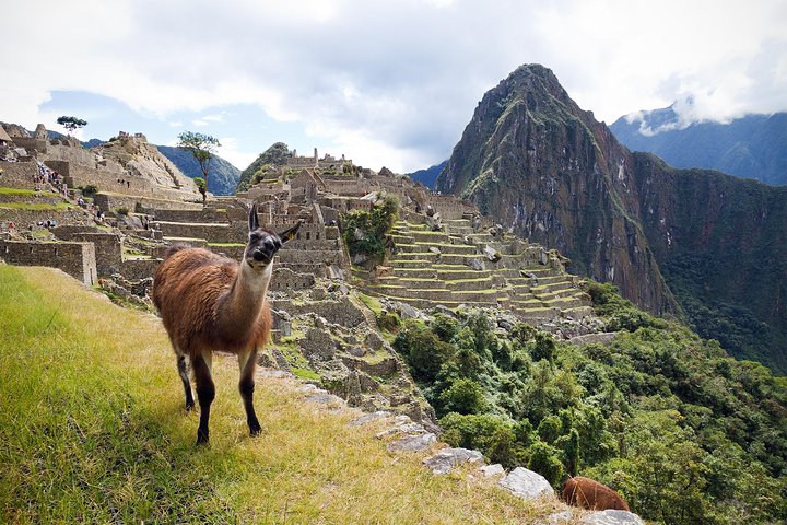 Full-day guided tour to the ancient Inca citadel of Machu Picchu from Cusco, Peru, photo 13 | wizardtrip