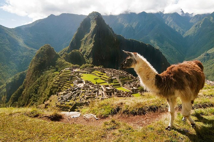 Full-day guided tour to the ancient Inca citadel of Machu Picchu from Cusco, Peru, photo 19 | wizardtrip