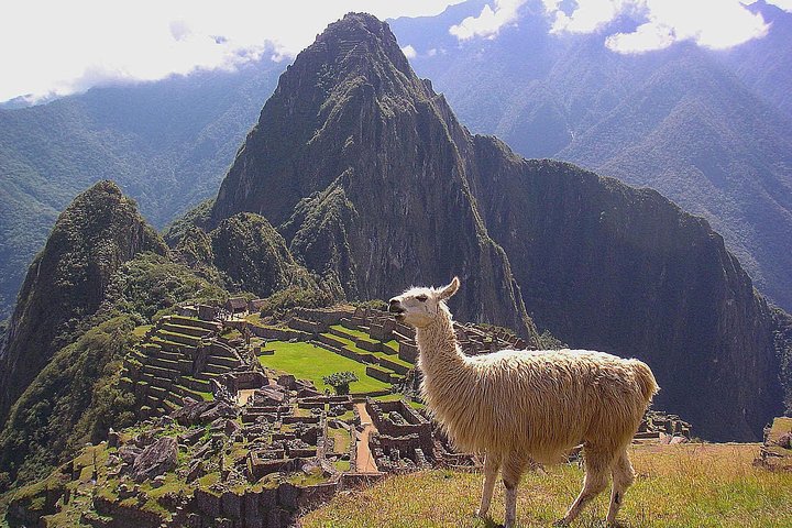 Full-day guided tour to the ancient Inca citadel of Machu Picchu from Cusco, Peru, photo 20 | wizardtrip