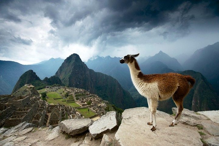 Full-day guided tour to the ancient Inca citadel of Machu Picchu from Cusco, Peru, photo 24 | wizardtrip