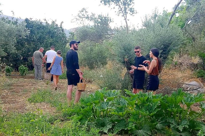 Praktisk grekisk matlagningskurs och gårdstur på Naxos, Grekland, foto 11 | wizardtrip