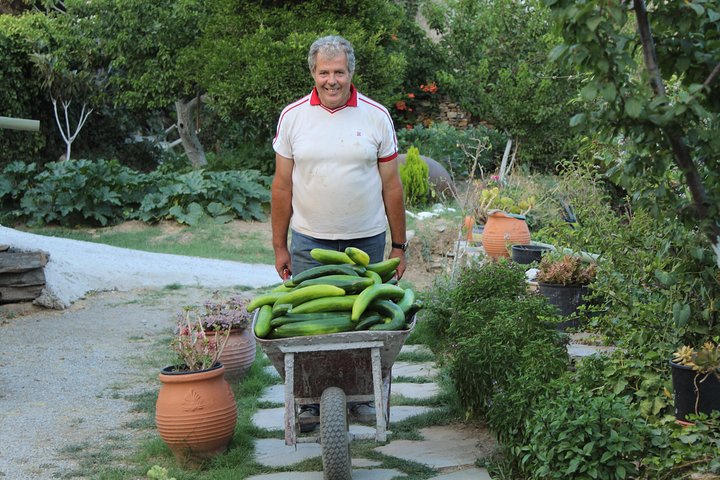 Praktisk grekisk matlagningskurs och gårdstur på Naxos, Grekland, foto 15 | wizardtrip