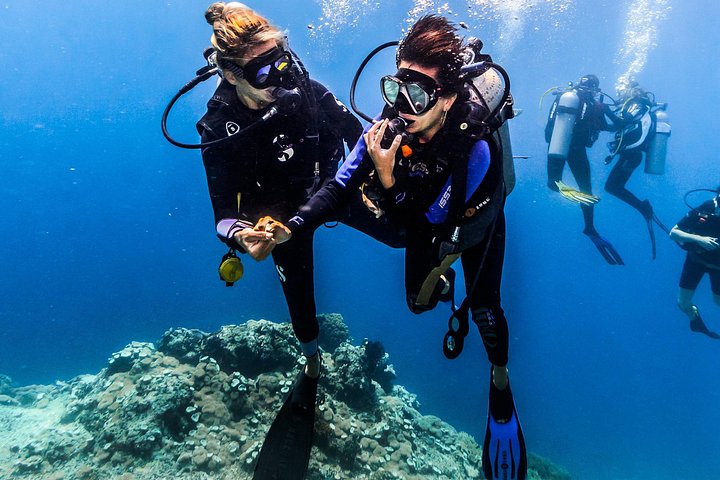Ontdek Scuba Diving in Tulamben - Bali Initiatieduik | wizardtrip