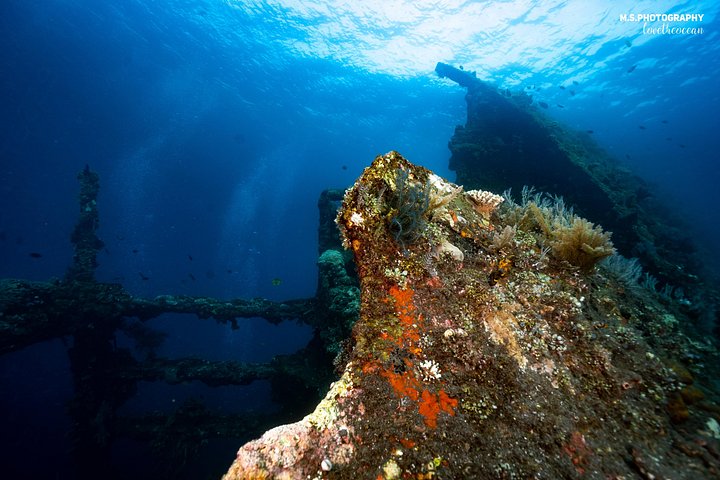 Introductory scuba diving experience in Tulamben, Bali, exploring shipwrecks and coral reefs, photo 7 | wizardtrip