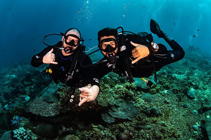 Introductory scuba diving experience in Tulamben, Bali, exploring shipwrecks and coral reefs, photo 9 | wizardtrip