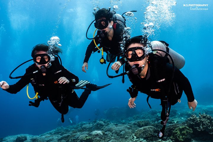 Introductory scuba diving experience in Tulamben, Bali, exploring shipwrecks and coral reefs, photo 10 | wizardtrip