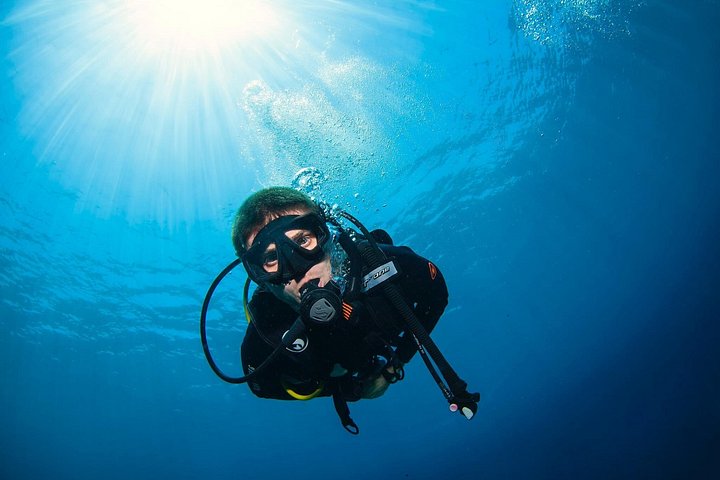 Introductory scuba diving experience in Tulamben, Bali, exploring shipwrecks and coral reefs, photo 11 | wizardtrip
