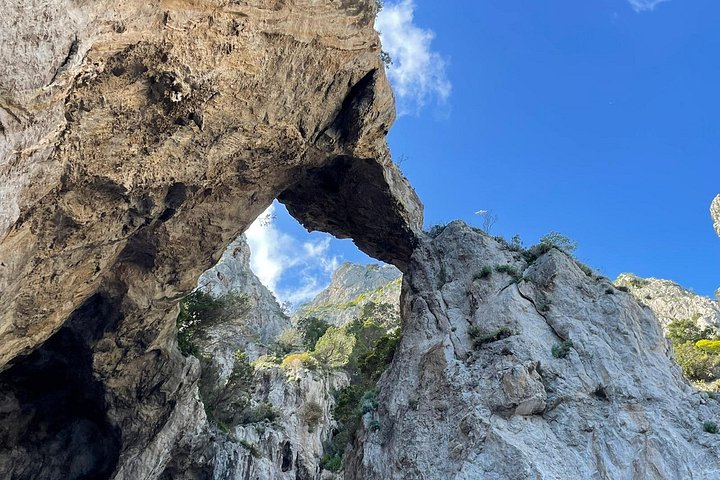 Privé boottocht rond het eiland Capri, Italië, met stops bij grotten en zwemplekken, foto 17 | wizardtrip