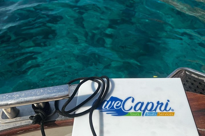 Privé boottocht rond het eiland Capri, Italië, met stops bij grotten en zwemplekken, foto 38 | wizardtrip