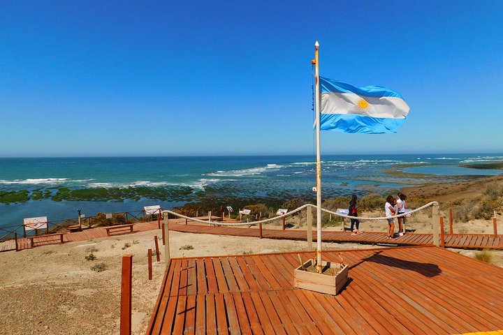 Wildlife and scenic views of Peninsula Valdes, Puerto Madryn, photo 6 | wizardtrip