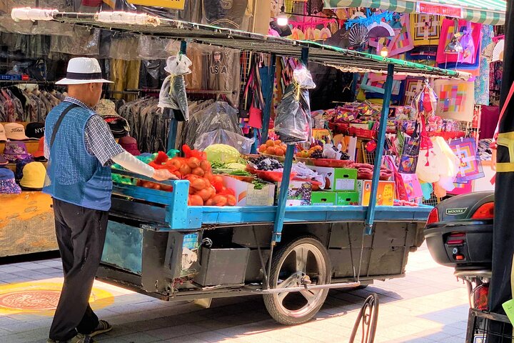 Private tour exploring Busan's landmarks like temples, markets, and coastal views, photo 14 | wizardtrip