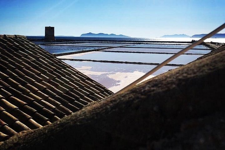Visite guidée des marais salants historiques de Trapani, Sicile, présentant la production de sel et la faune locale, photo 8 | wizardtrip