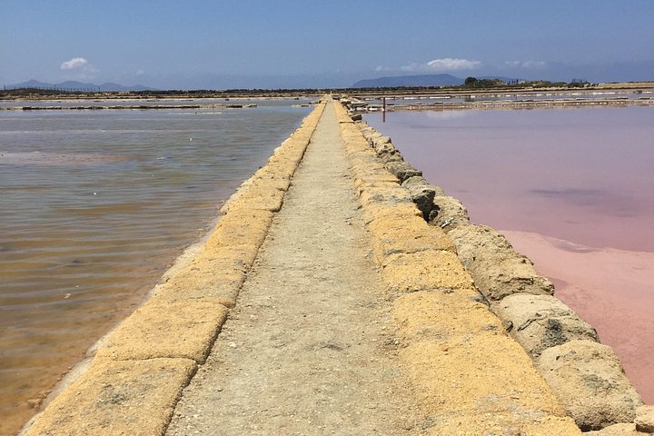 Visite guidée des marais salants historiques de Trapani, Sicile, présentant la production de sel et la faune locale, photo 9 | wizardtrip