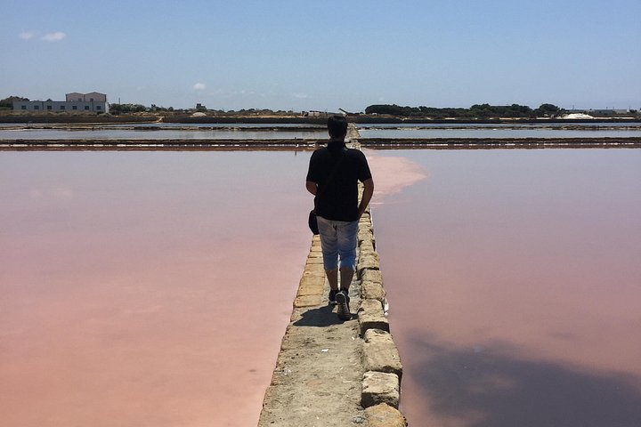 Visite guidée des marais salants historiques de Trapani, Sicile, présentant la production de sel et la faune locale, photo 10 | wizardtrip