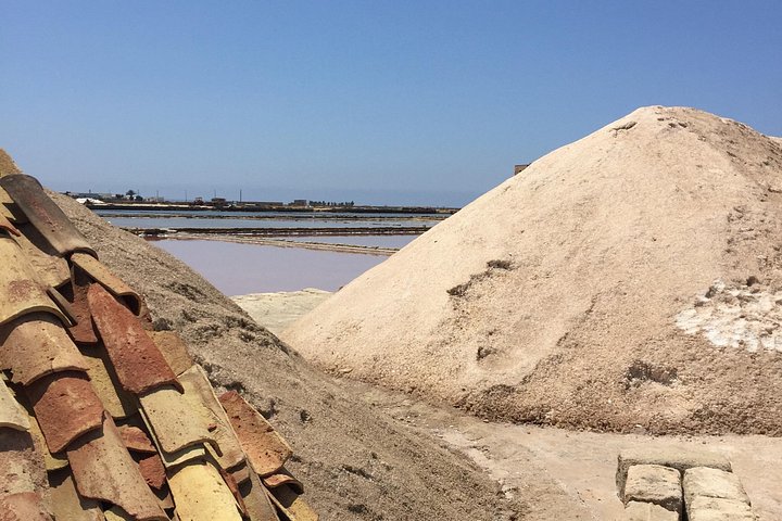 Visite guidée des marais salants historiques de Trapani, Sicile, présentant la production de sel et la faune locale, photo 13 | wizardtrip