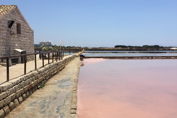 Visite guidée des marais salants historiques de Trapani, Sicile, présentant la production de sel et la faune locale, photo 17 | wizardtrip