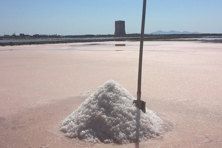 Visite guidée des marais salants historiques de Trapani, Sicile, présentant la production de sel et la faune locale, photo 18 | wizardtrip