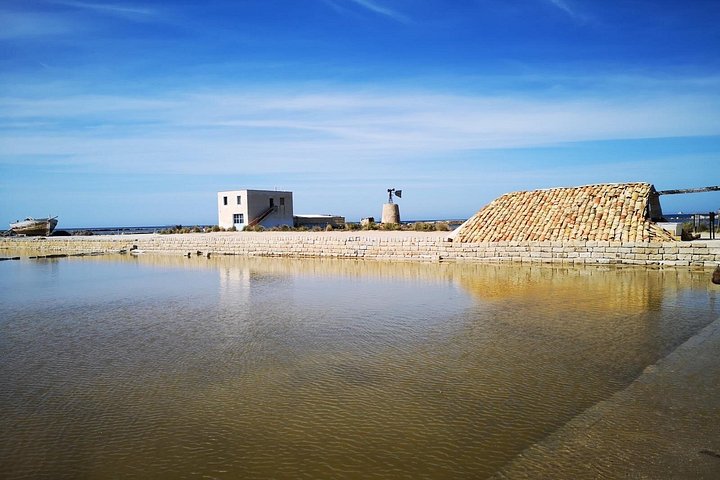 Visite guidée des marais salants historiques de Trapani, Sicile, présentant la production de sel et la faune locale, photo 19 | wizardtrip