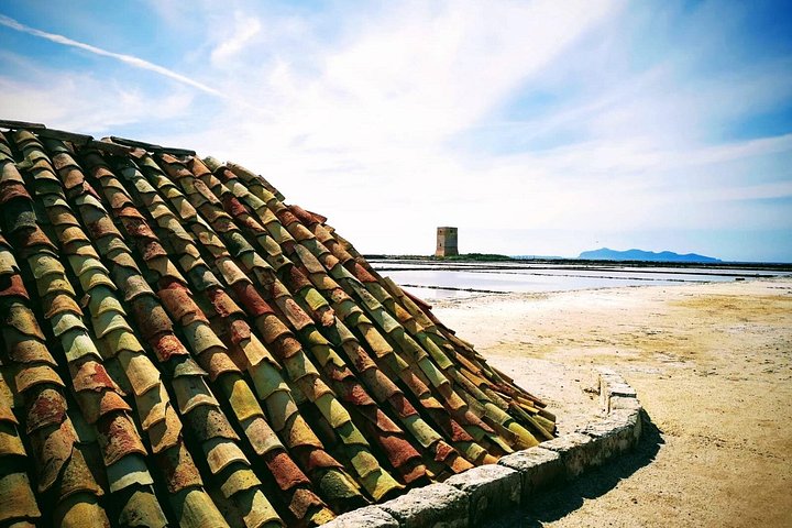 Visite guidée des marais salants historiques de Trapani, Sicile, présentant la production de sel et la faune locale, photo 22 | wizardtrip