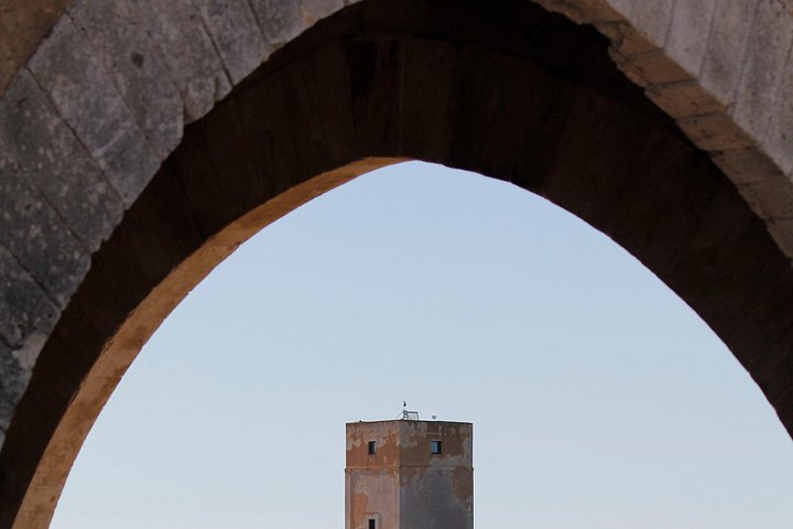 Visite guidée des marais salants historiques de Trapani, Sicile, présentant la production de sel et la faune locale, photo 25 | wizardtrip