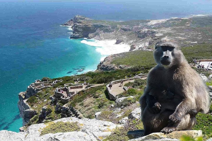 Heldagstur til Cape Peninsula i privat bil | wizardtrip
