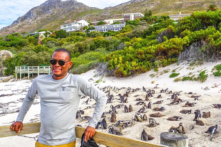 Tour privato di un'intera giornata della penisola del Capo, inclusi Cape Point, pinguini di Boulders Beach e Chapman's Peak Drive, foto 10 | wizardtrip