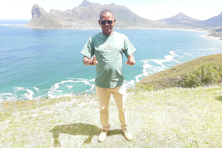 Tour privato di un'intera giornata della penisola del Capo, inclusi Cape Point, pinguini di Boulders Beach e Chapman's Peak Drive, foto 21 | wizardtrip