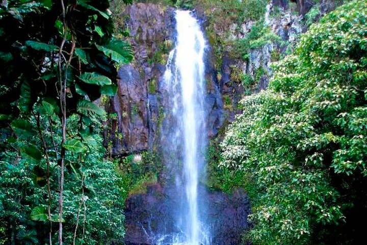 マウイ島：少人数制ハナへの道ツアー 6～8名様 | wizardtrip