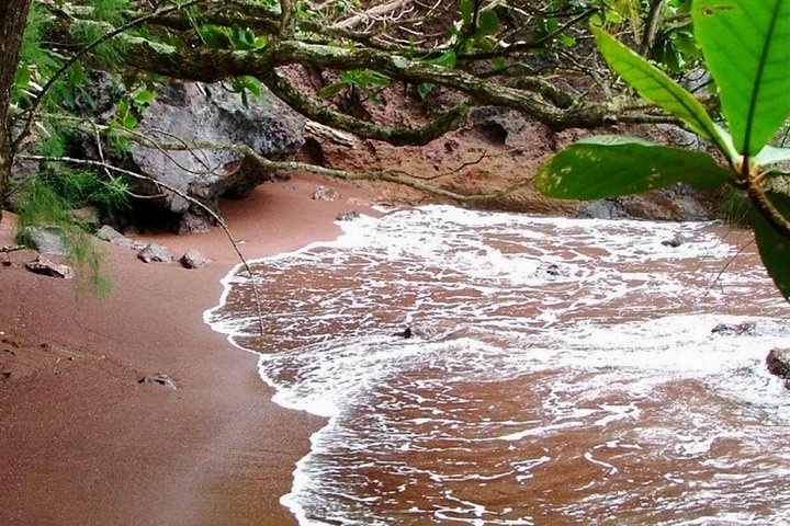 Tour em pequeno grupo pela cênica Estrada para Hāna de Maui, com cachoeiras, praias de areia preta e florestas tropicais exuberantes, foto 6 | wizardtrip