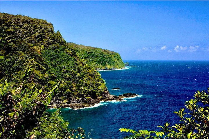 Tour em pequeno grupo pela cênica Estrada para Hāna de Maui, com cachoeiras, praias de areia preta e florestas tropicais exuberantes, foto 7 | wizardtrip