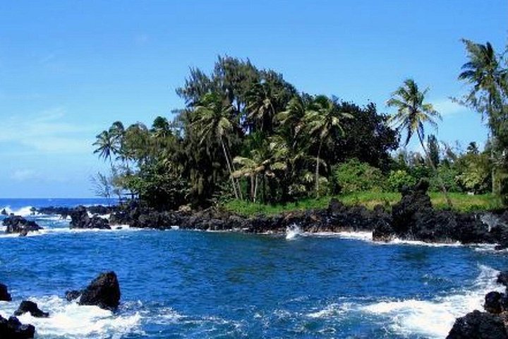Tour em pequeno grupo pela cênica Estrada para Hāna de Maui, com cachoeiras, praias de areia preta e florestas tropicais exuberantes, foto 8 | wizardtrip