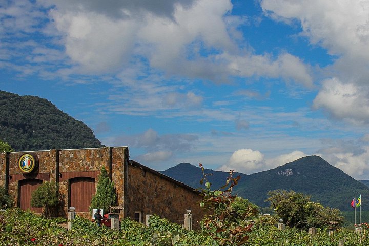 Weinverkostung und Weingut-Tour im Weingut Jolimont in Canela, Brasilien, Foto 11 | wizardtrip