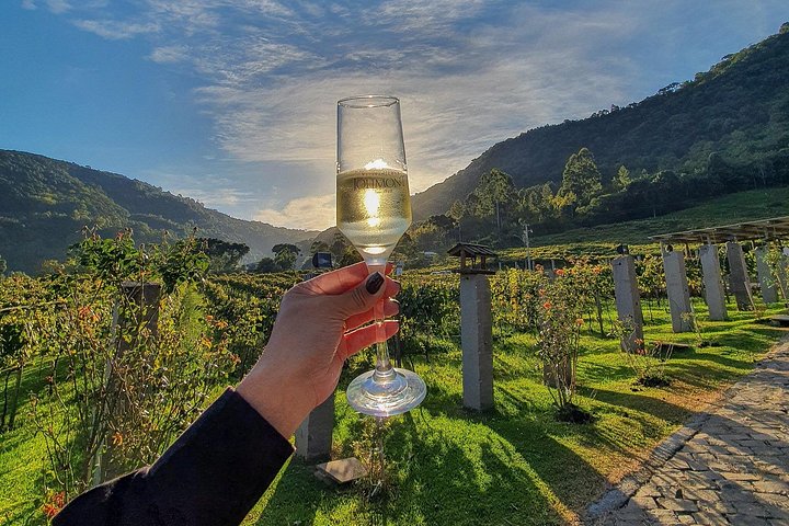 Weinverkostung und Weingut-Tour im Weingut Jolimont in Canela, Brasilien, Foto 12 | wizardtrip