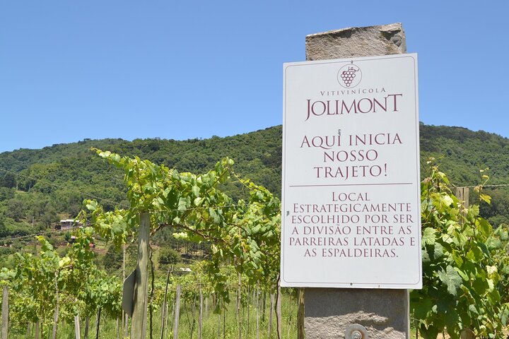 Weinverkostung und Weingut-Tour im Weingut Jolimont in Canela, Brasilien, Foto 14 | wizardtrip
