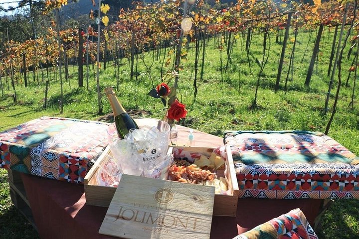 Weinverkostung und Weingut-Tour im Weingut Jolimont in Canela, Brasilien, Foto 16 | wizardtrip
