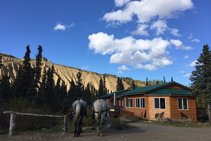 Tur i hestetrukket vogn gennem Denali National Park med spisning i vildmarken, foto 9 | wizardtrip