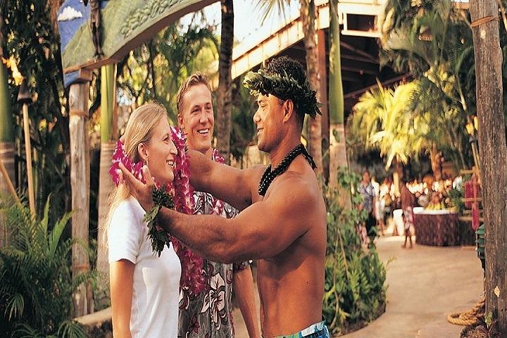Pearl Harbor, Dole Plantation et Polynesian Cultural Center depuis Waikiki | wizardtrip