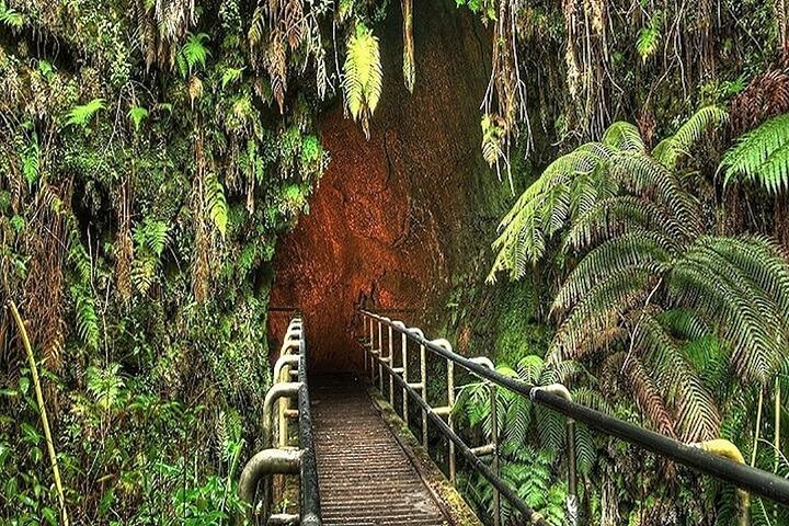 マウイ島：デラックス熱帯雨林と滝巡りハナへの道 | wizardtrip