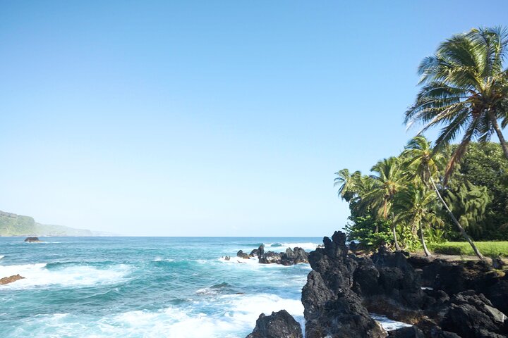 Schilderachtige uitzichten op Maui's Road to Hana, inclusief watervallen, stranden en weelderige landschappen, foto 9 | wizardtrip