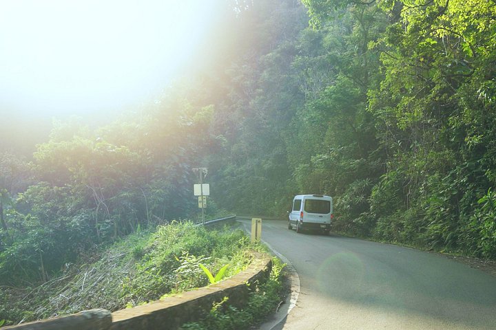 Schilderachtige uitzichten op Maui's Road to Hana, inclusief watervallen, stranden en weelderige landschappen, foto 13 | wizardtrip
