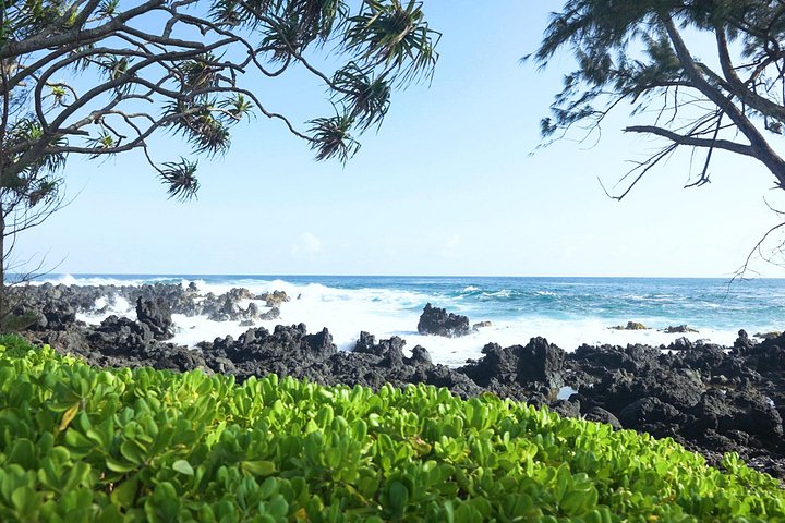 Schilderachtige uitzichten op Maui's Road to Hana, inclusief watervallen, stranden en weelderige landschappen, foto 14 | wizardtrip