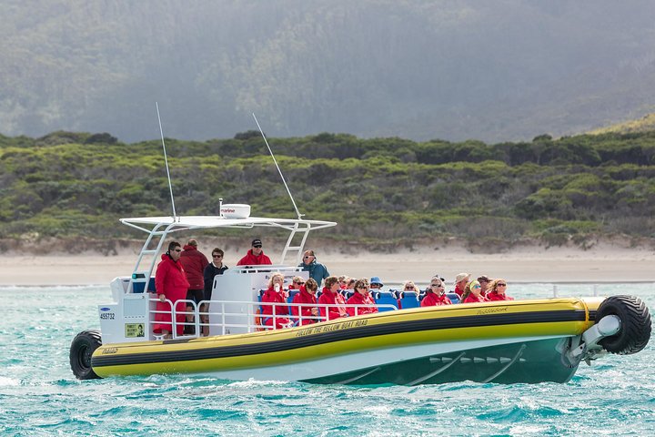 Crucero de Aventura por Wilsons Promontory | wizardtrip