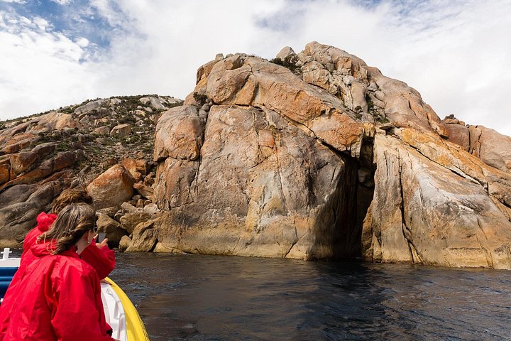 Amfibiekøretøjs-cruise, der udforsker granitkystlinjen og dyrelivet i Wilsons Promontory National Park, Australien, foto 7 | wizardtrip
