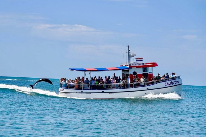 Little Toot Delfin-eventyr ved Clearwater Beach | wizardtrip