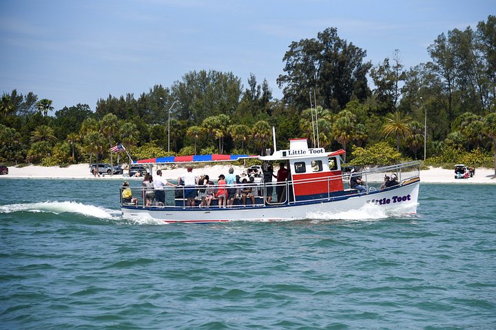 Dolphin watching tour on a tugboat in Clearwater Beach, Florida, photo 11 | wizardtrip